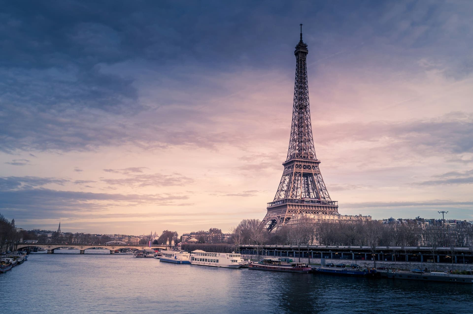 International students studying in the USA from France