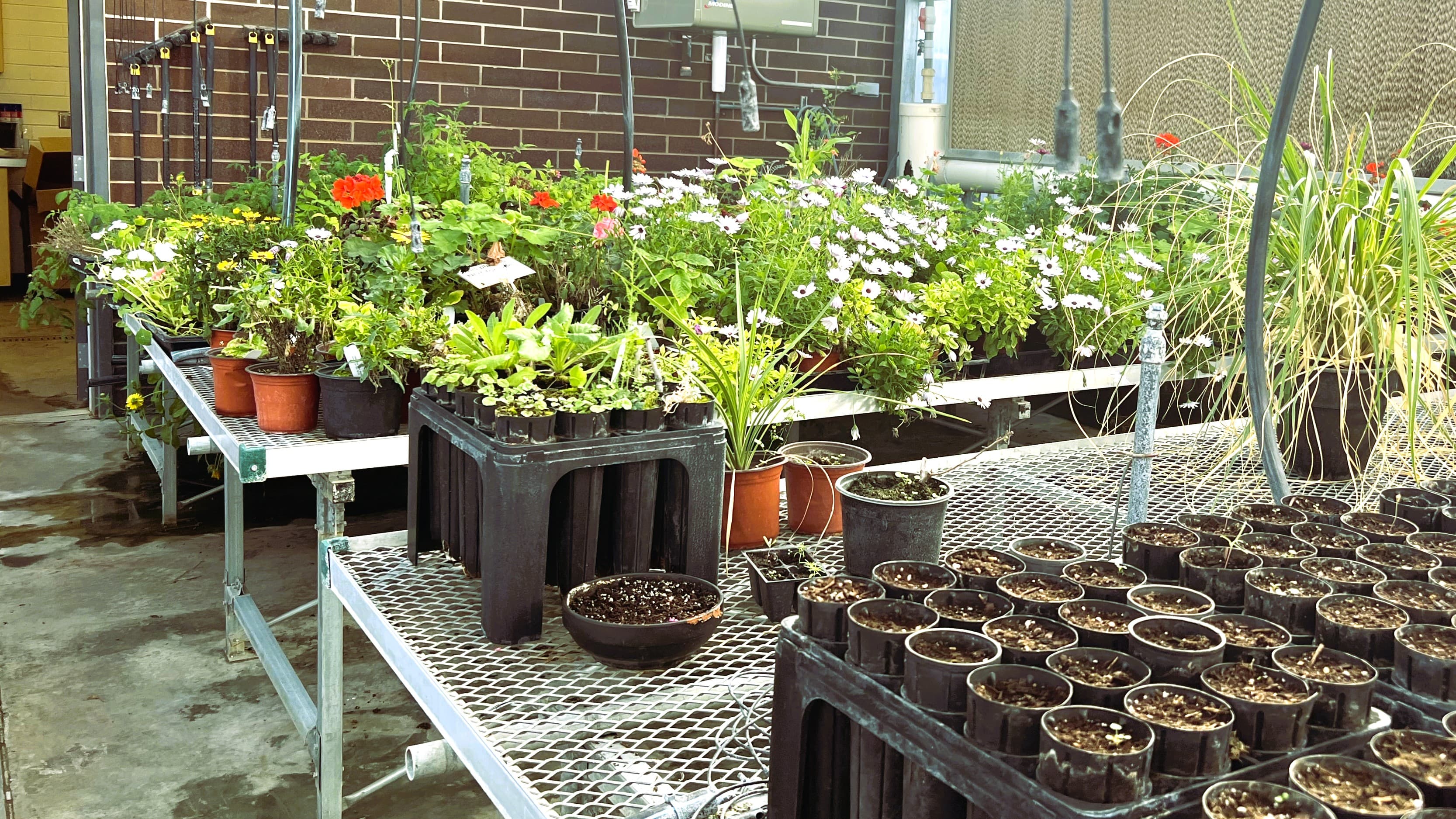 Alpine School District campus photo 7