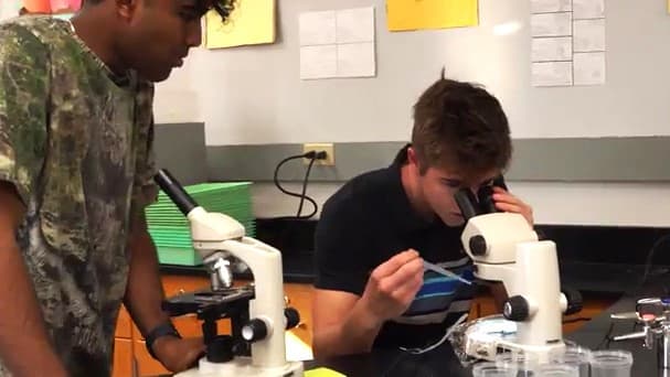 Gilbert Public Schools campus photo 4