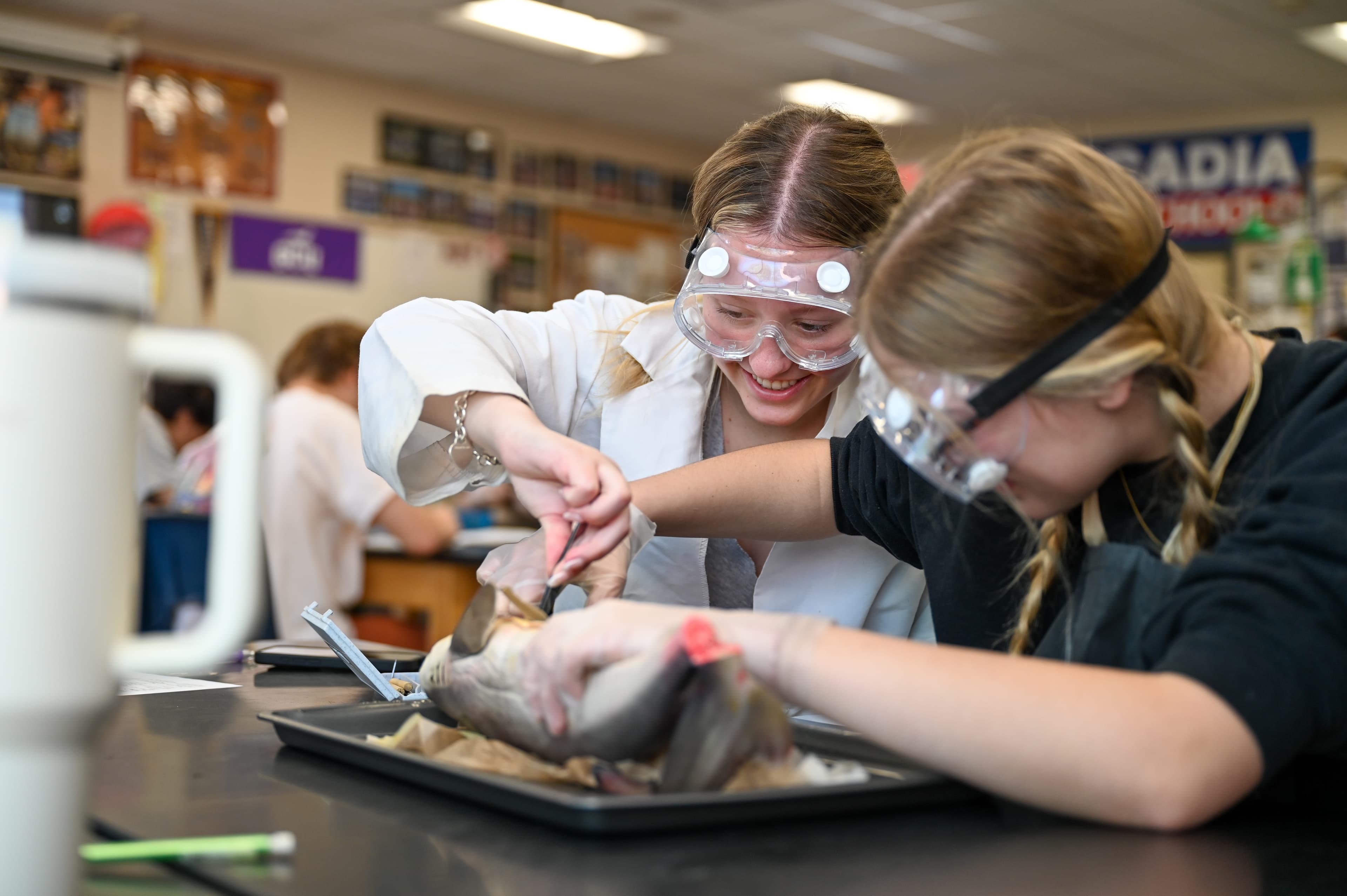 Scottsdale Unified School District campus photo 12