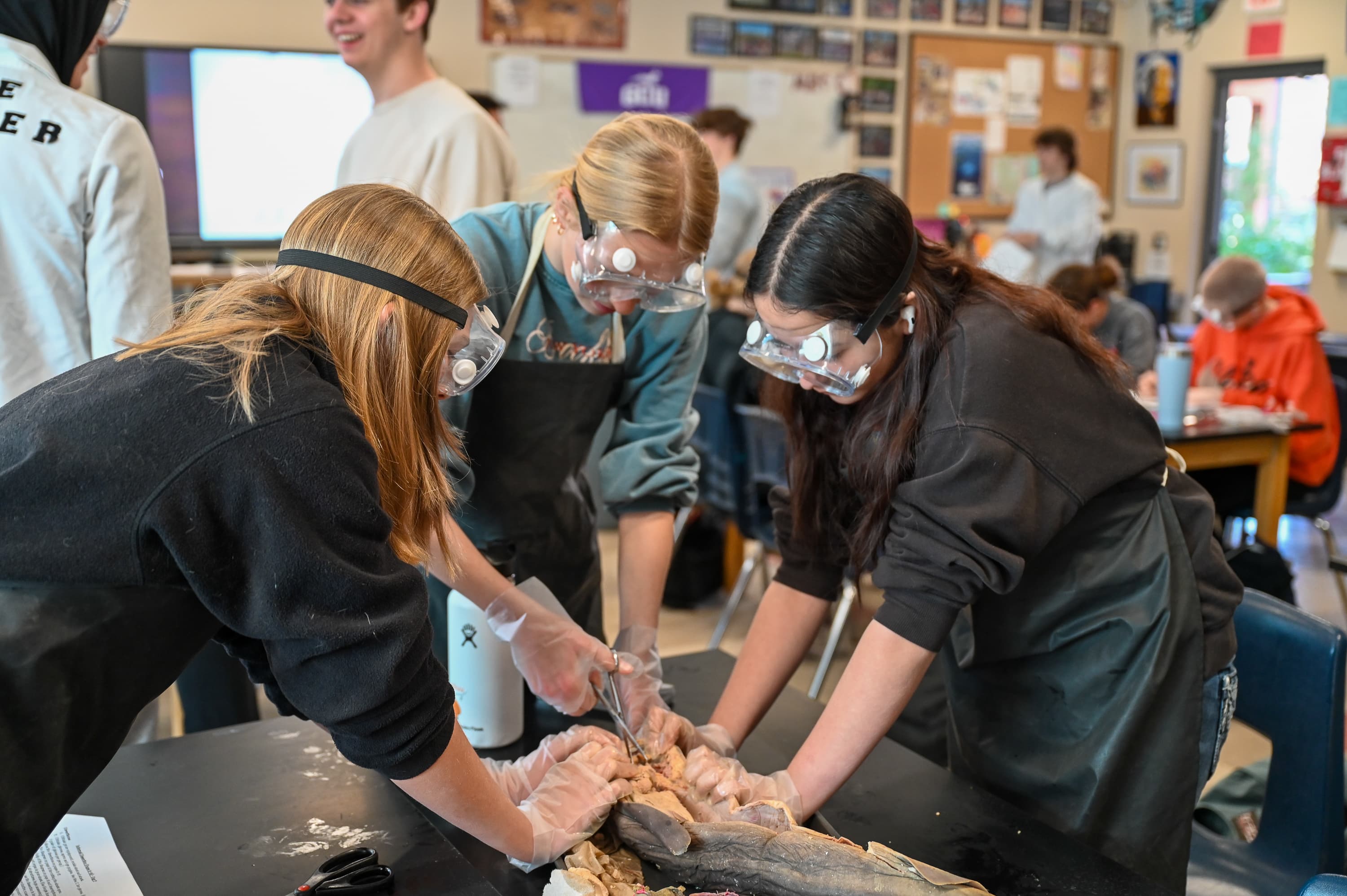 Scottsdale Unified School District campus photo 24