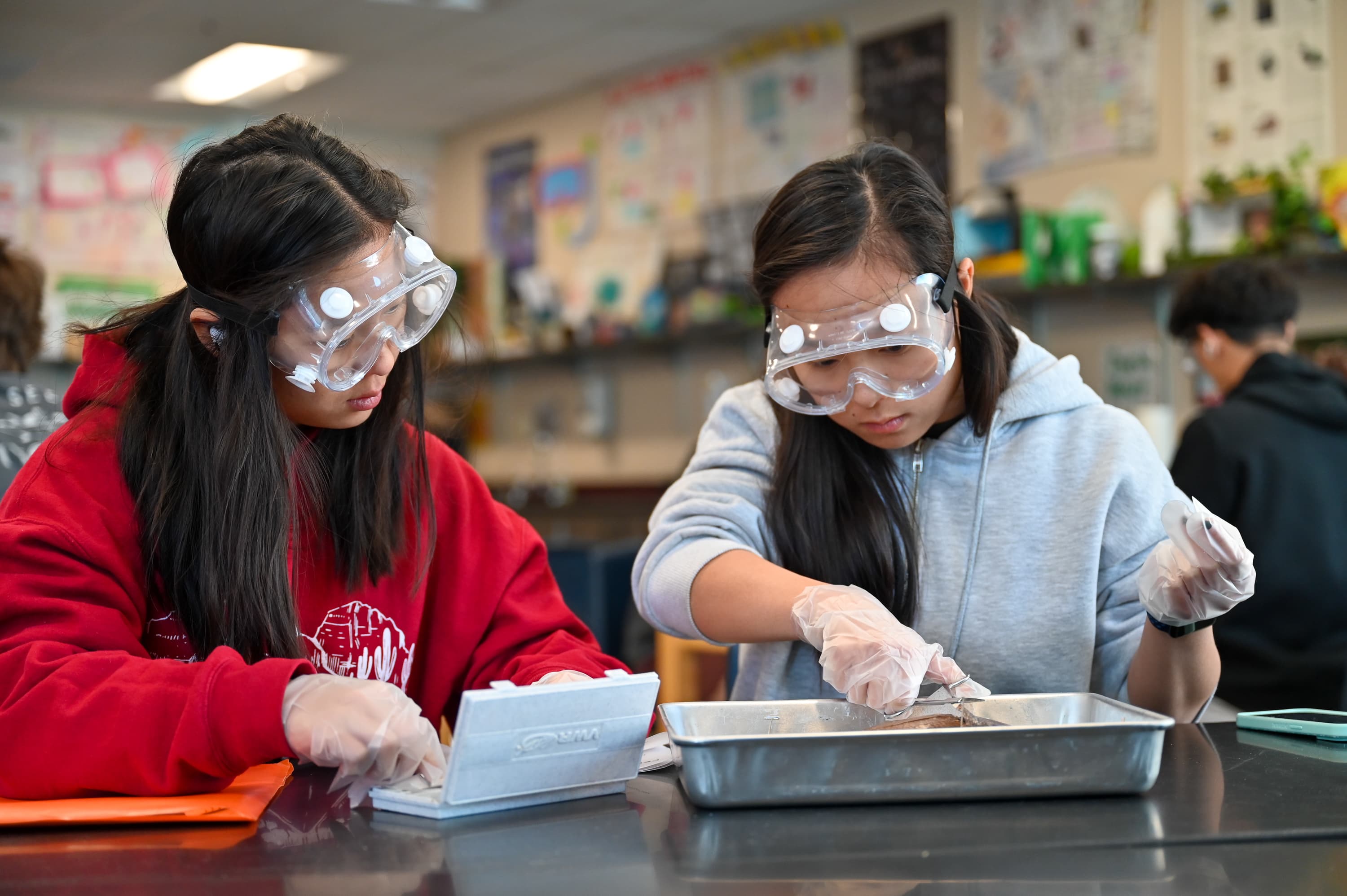 Scottsdale Unified School District campus photo 25